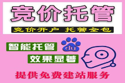 信息流广告精准投放案例研究